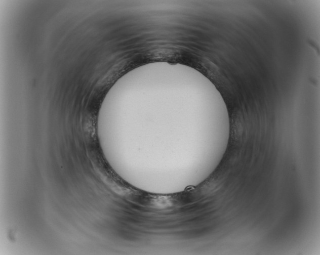 X0000099930091200806131412