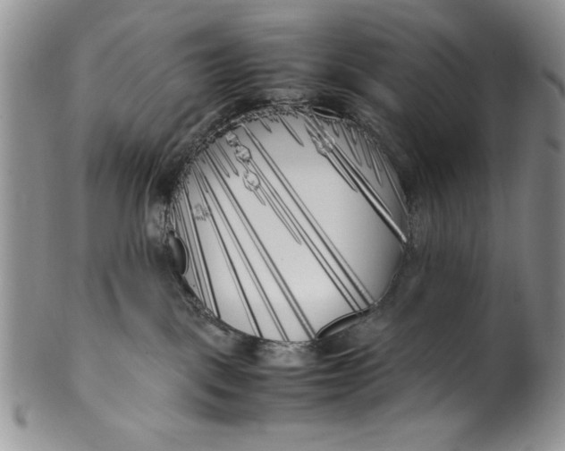 X0000099930093200806131412