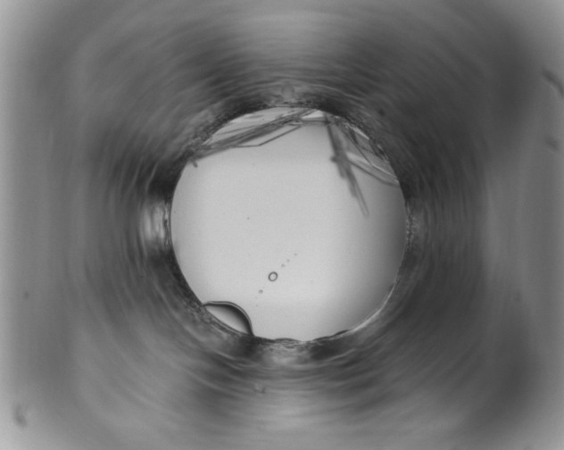 X0000099930094200806131412