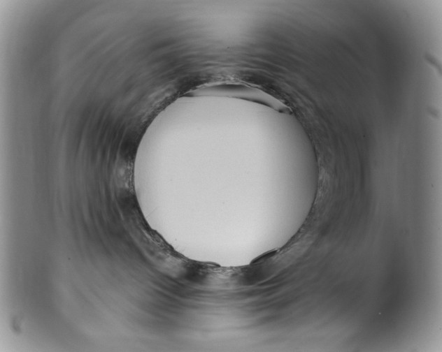 X0000099930096200806131412