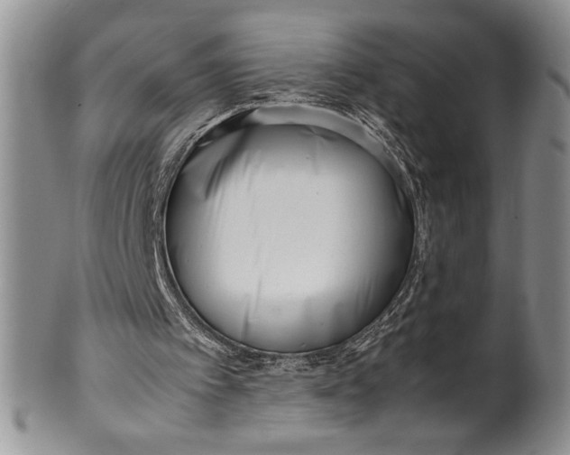 X0000099930097200806131412