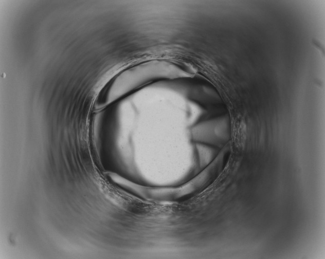 X0000099930100200806131412