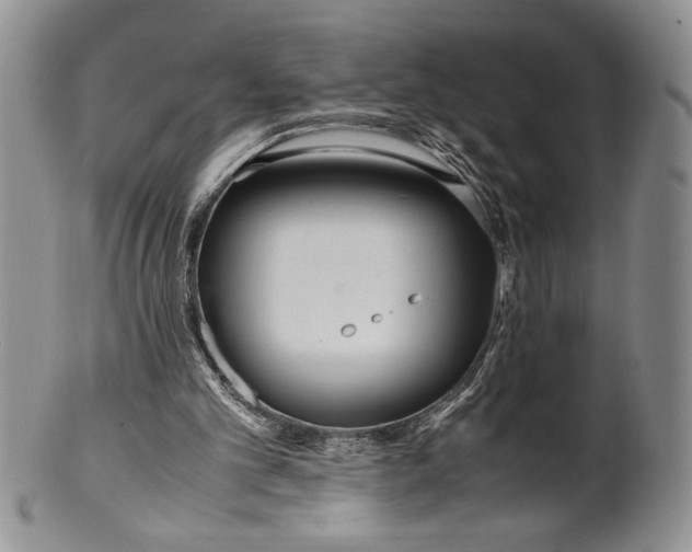 X0000099930101200806131412