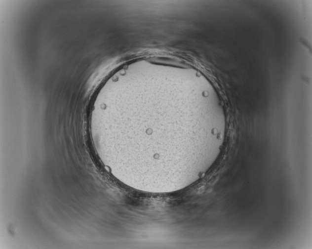 X0000099930103200806131412