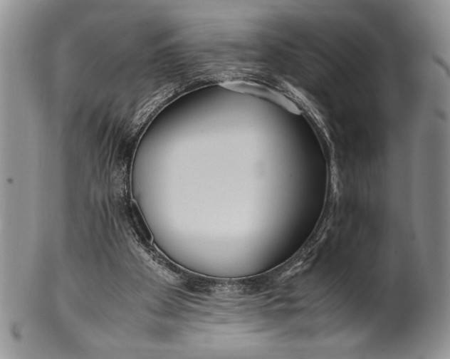 X0000099930105200806131412