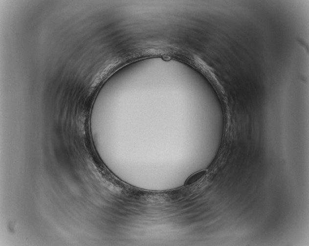 X0000099930106200806131412