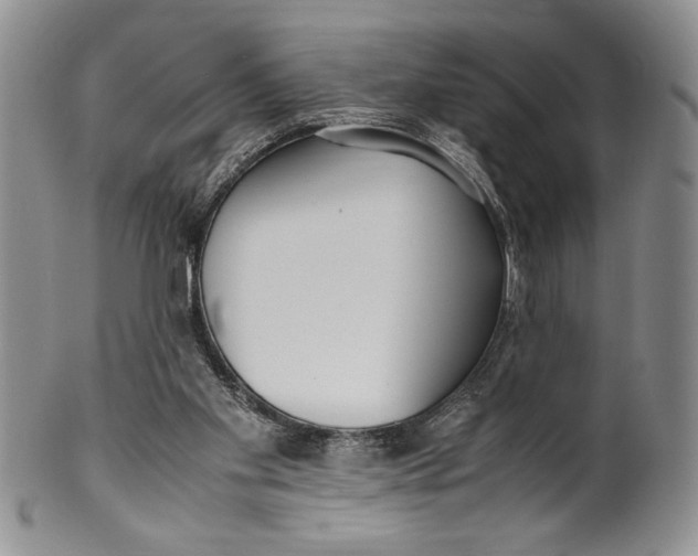 X0000099930109200806131412