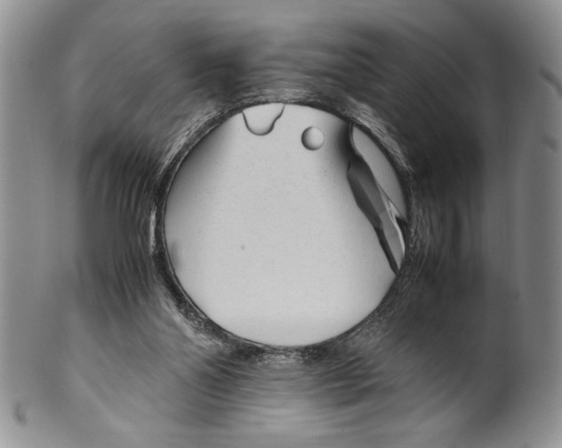 X0000099930110200806131412