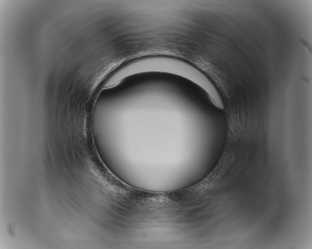 X0000099930112200806131412