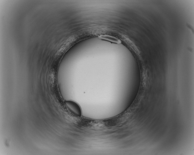 X0000099930113200806131412