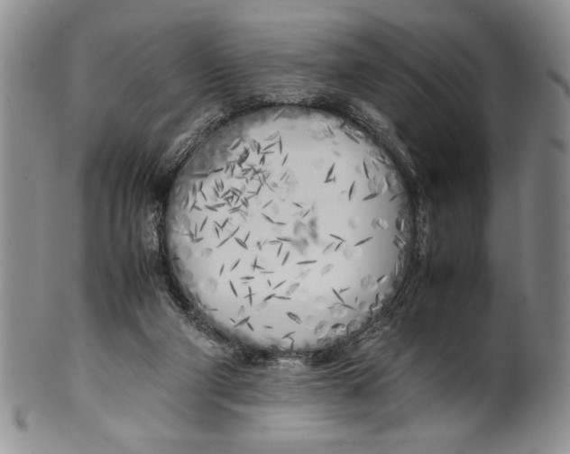 X0000099930114200806131412