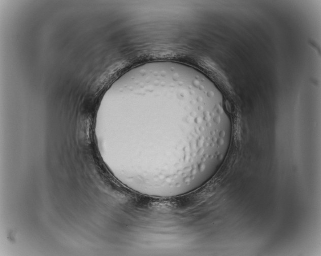 X0000099930115200806131411