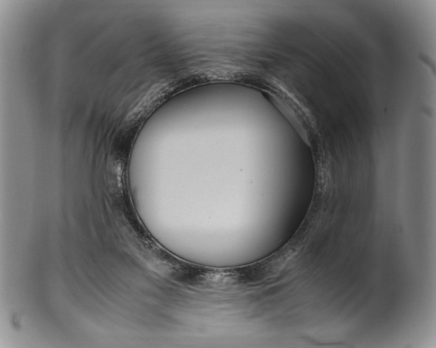 X0000099930117200806131411