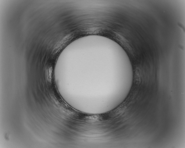 X0000099930118200806131411