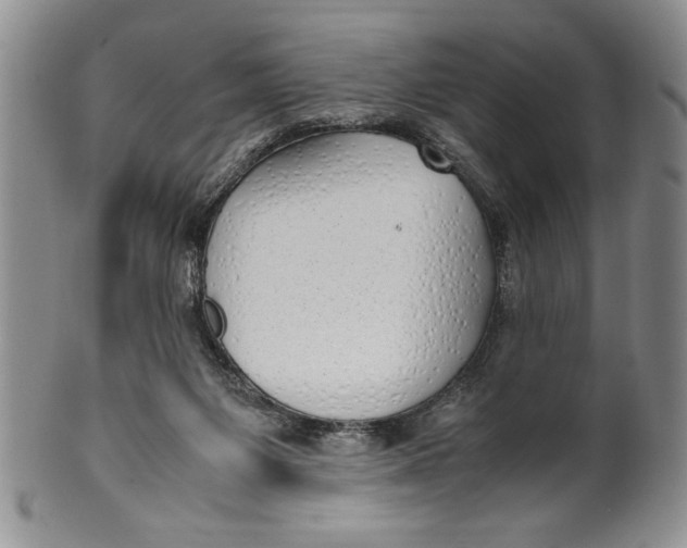 X0000099930119200806131411