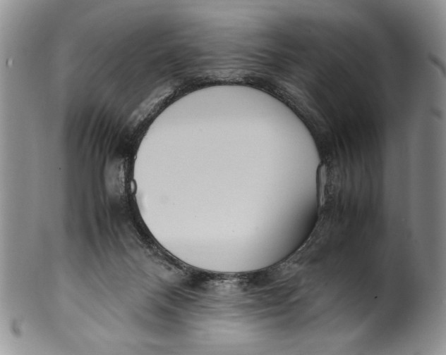 X0000099930120200806131411