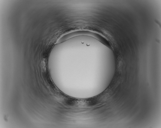 X0000099930121200806131411