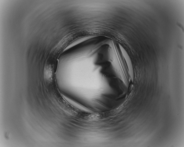 X0000099930124200806131411