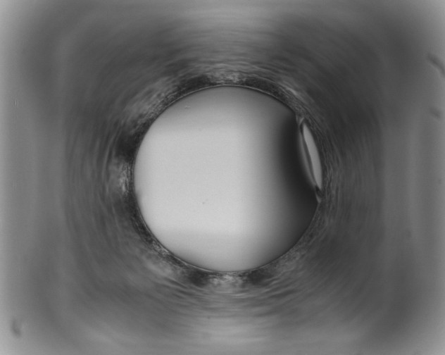 X0000099930125200806131411