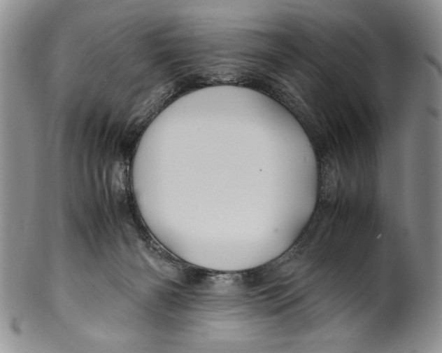 X0000099930126200806131411