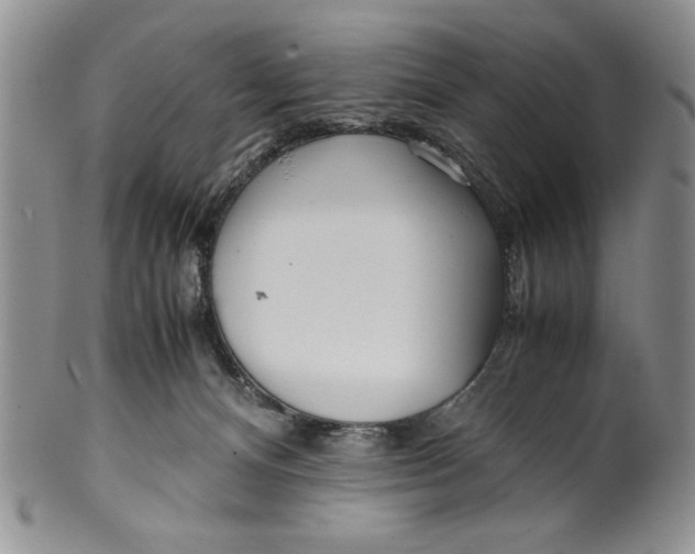 X0000099930128200806131411