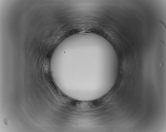 X0000099930129200806131411