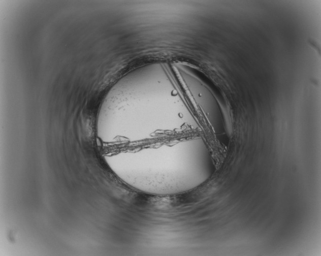 X0000099930131200806131411