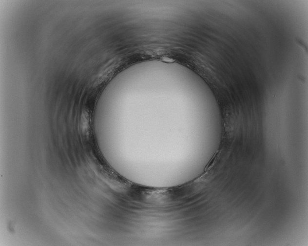 X0000099930132200806131411