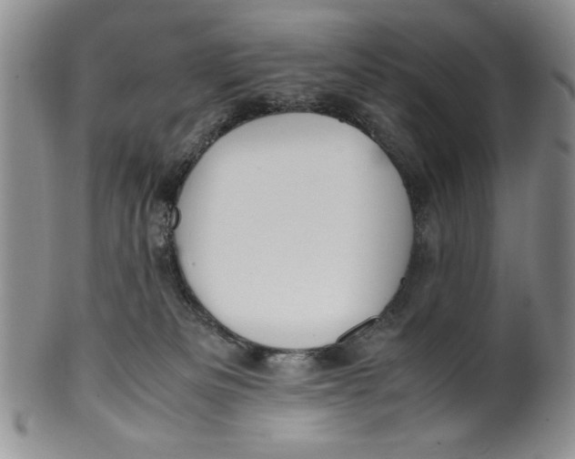 X0000099930133200806131411