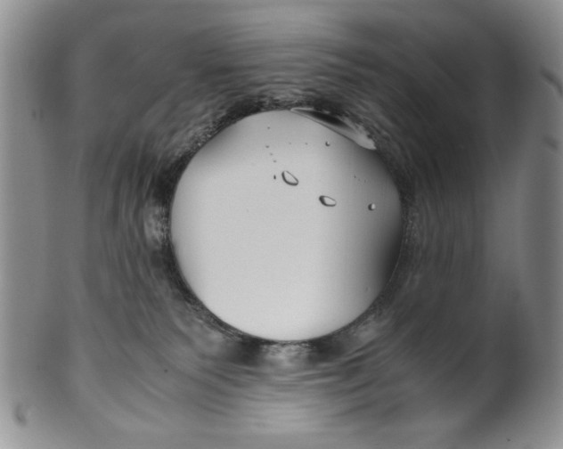 X0000099930135200806131411