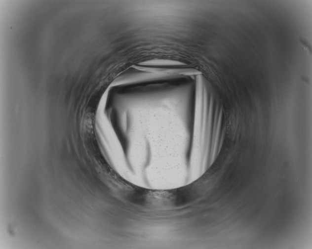 X0000099930137200806131411