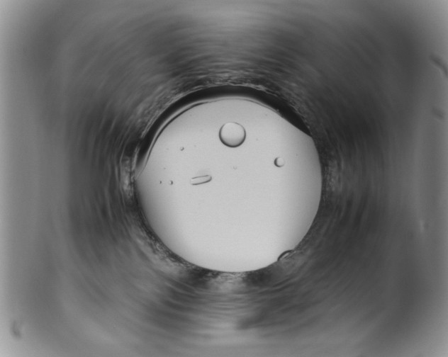 X0000099930138200806131411