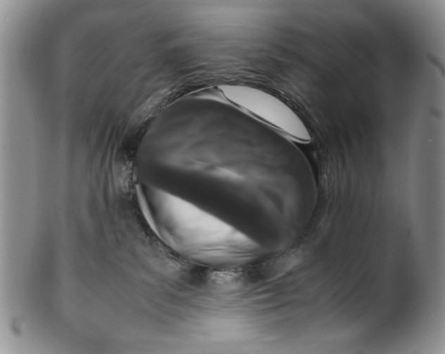 X0000099930139200806131411