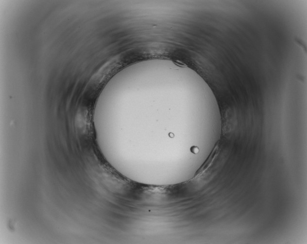 X0000099930140200806131411