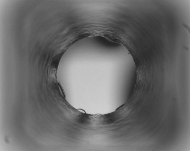 X0000099930141200806131411