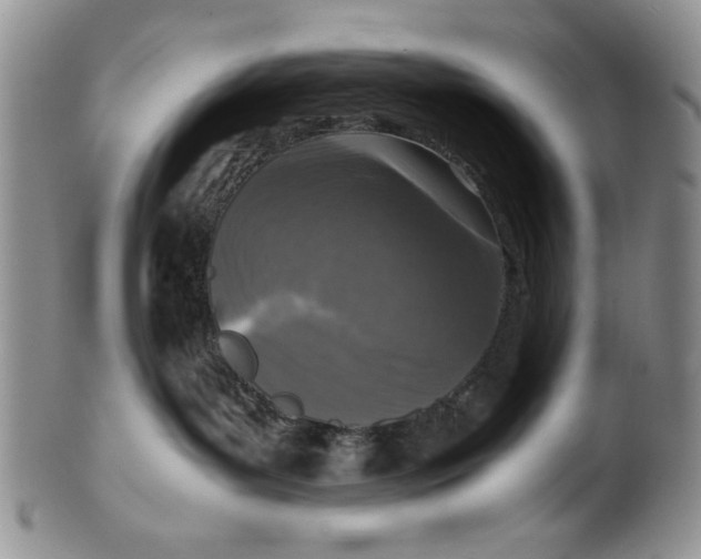 X0000099930143200806131411