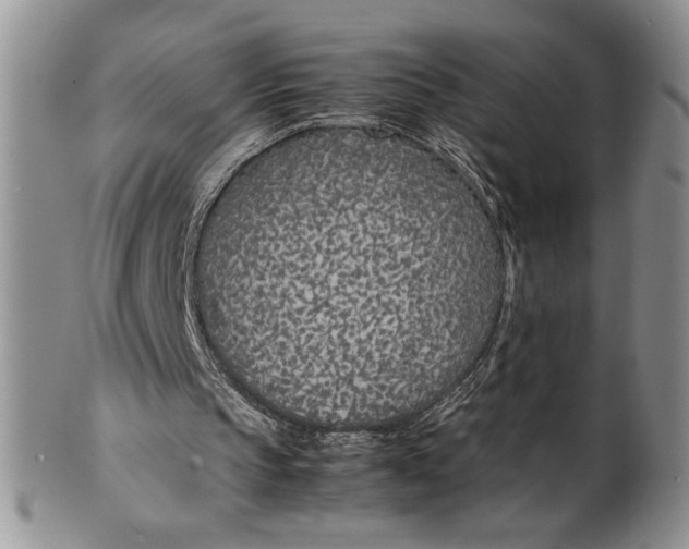 X0000099930145200806131410