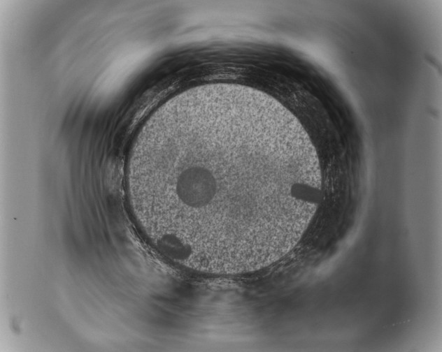 X0000099930146200806131410