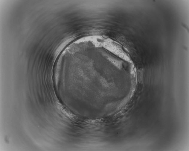 X0000099930147200806131410