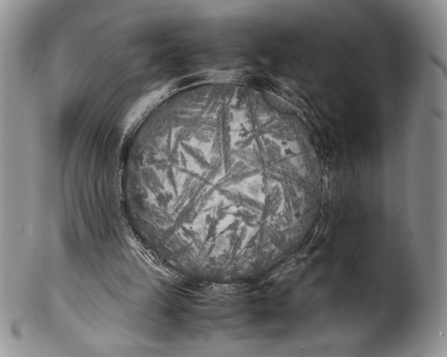 X0000099930149200806131410