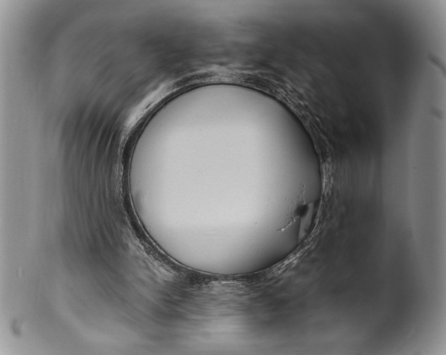 X0000099930150200806131410