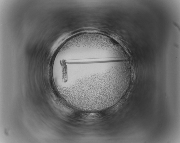 X0000099930151200806131410