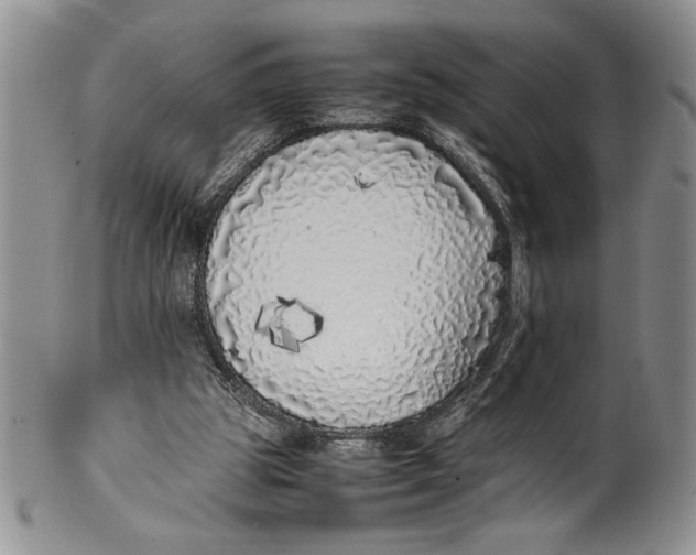 X0000099930153200806131410