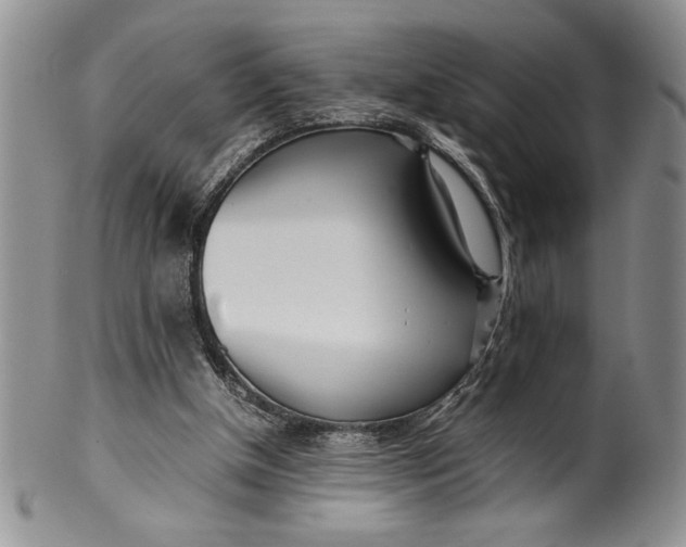 X0000099930154200806131410