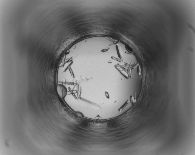 X0000099930155200806131410