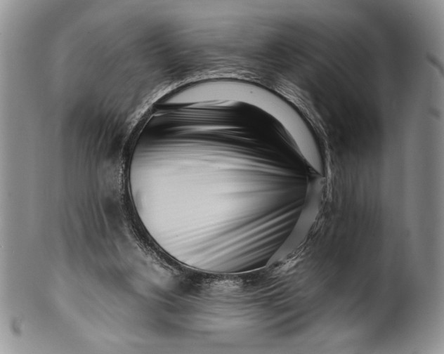 X0000099930156200806131411