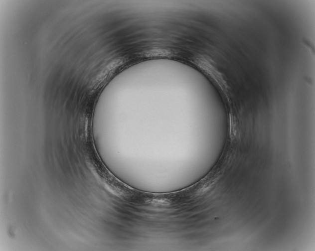 X0000099930157200806131411