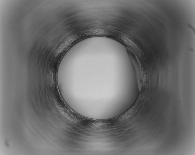 X0000099930158200806131411