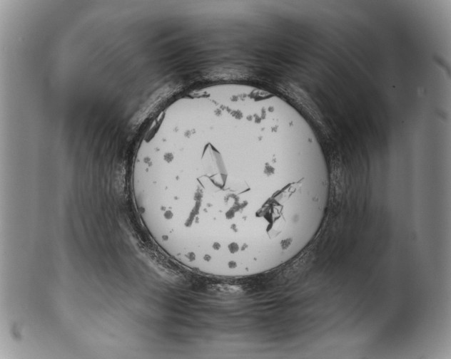 X0000099930159200806131411