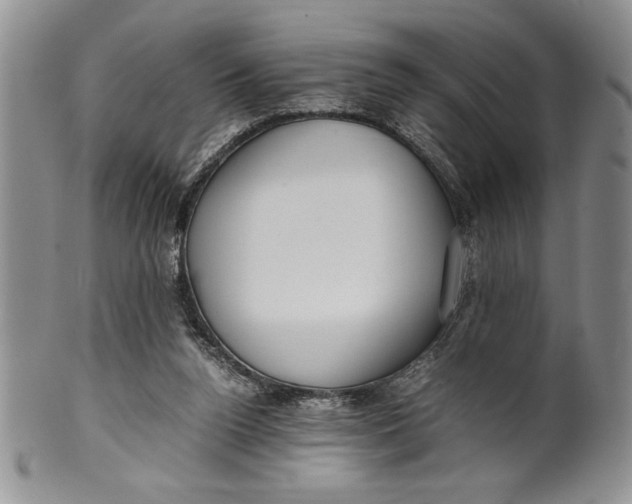 X0000099930160200806131411